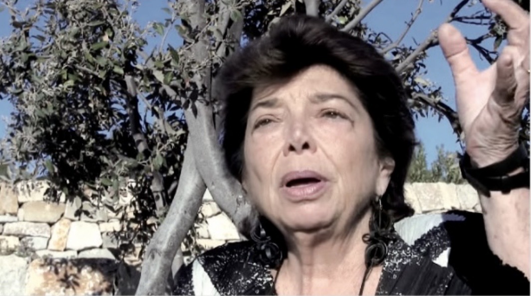 Leïla Shahid, la voix de la Palestine